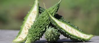 does CelluFend really works